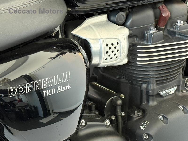 TRIUMPH Bonneville 900 T100 Black