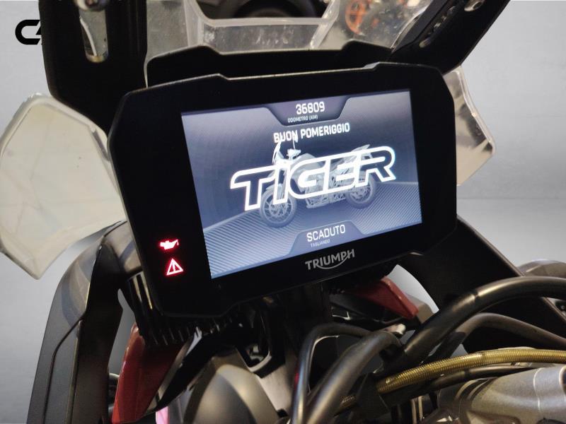 TRIUMPH Tiger 900 GT Abs