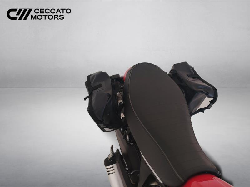 DUCATI Scrambler 800 Icon
