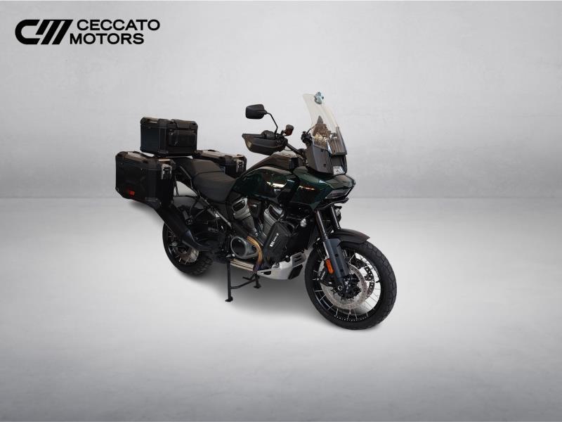 HARLEY-DAVIDSON Pan America 1250 Special c.raggi Color