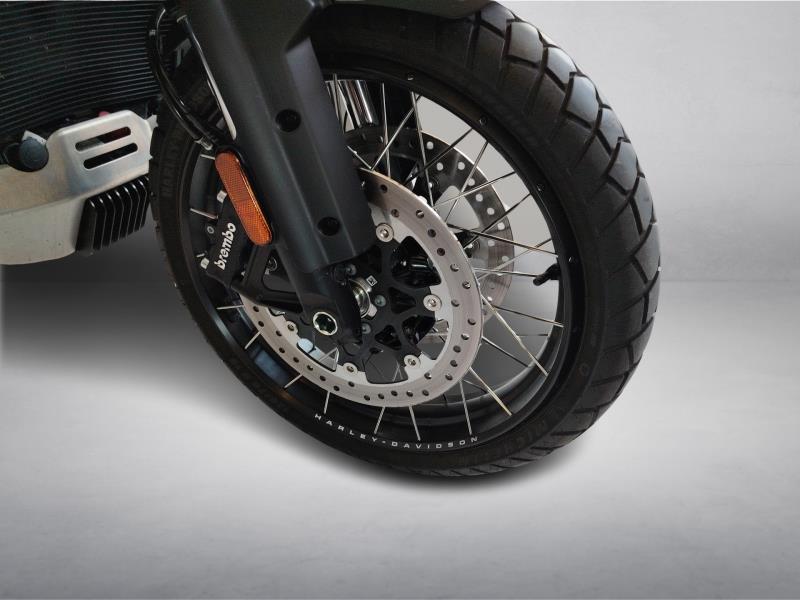 HARLEY-DAVIDSON Pan America 1250 Special c.raggi Color