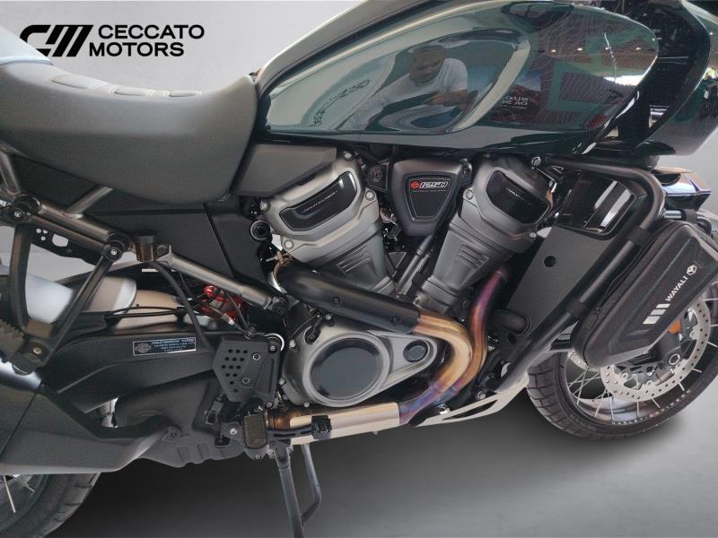 HARLEY-DAVIDSON Pan America 1250 Special c.raggi Color