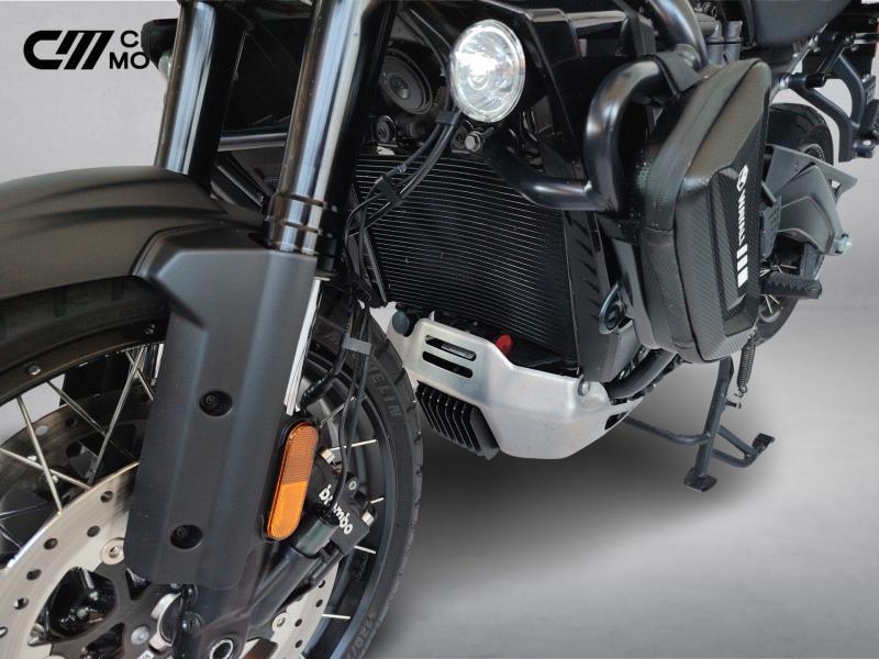 HARLEY-DAVIDSON Pan America 1250 Special c.raggi Color