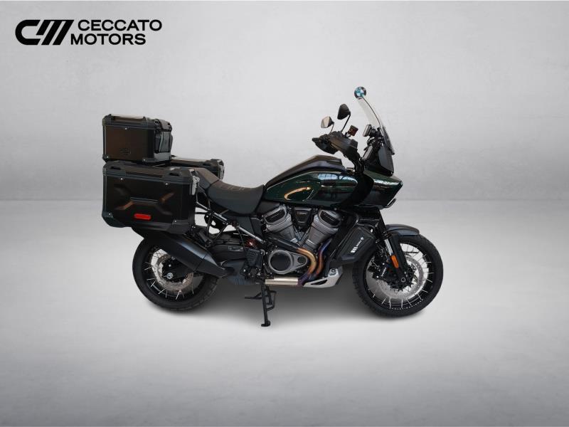 HARLEY-DAVIDSON Pan America 1250 Special c.raggi Color