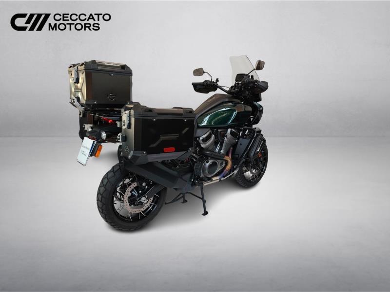 HARLEY-DAVIDSON Pan America 1250 Special c.raggi Color
