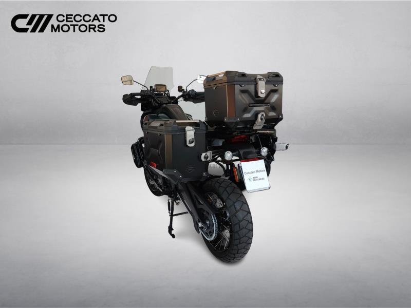 HARLEY-DAVIDSON Pan America 1250 Special c.raggi Color