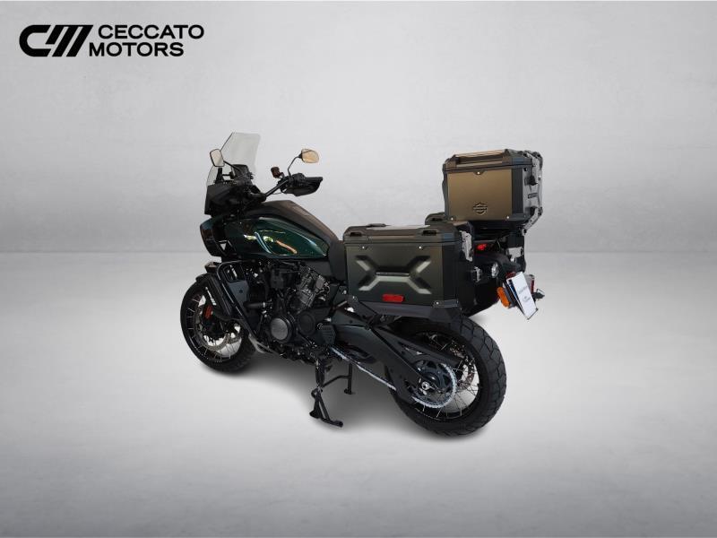 HARLEY-DAVIDSON Pan America 1250 Special c.raggi Color