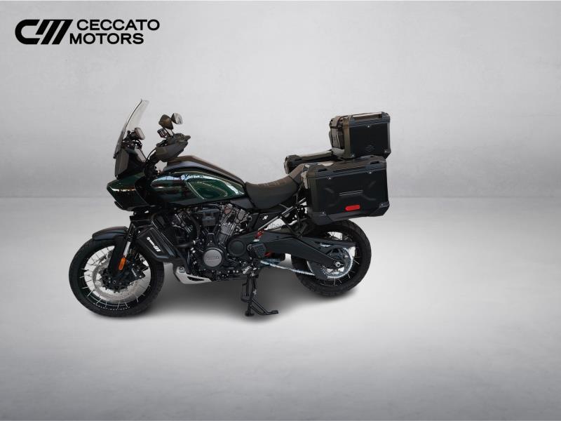 HARLEY-DAVIDSON Pan America 1250 Special c.raggi Color