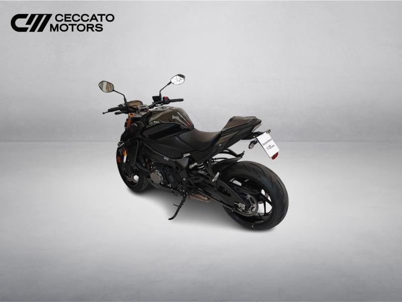 SUZUKI GSX-S 1000 Abs