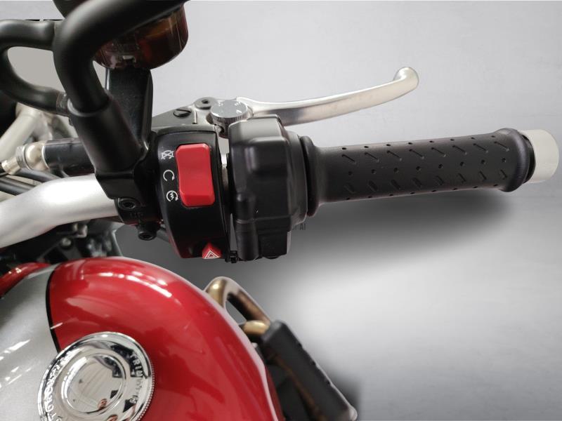 TRIUMPH Street Scrambler 900 