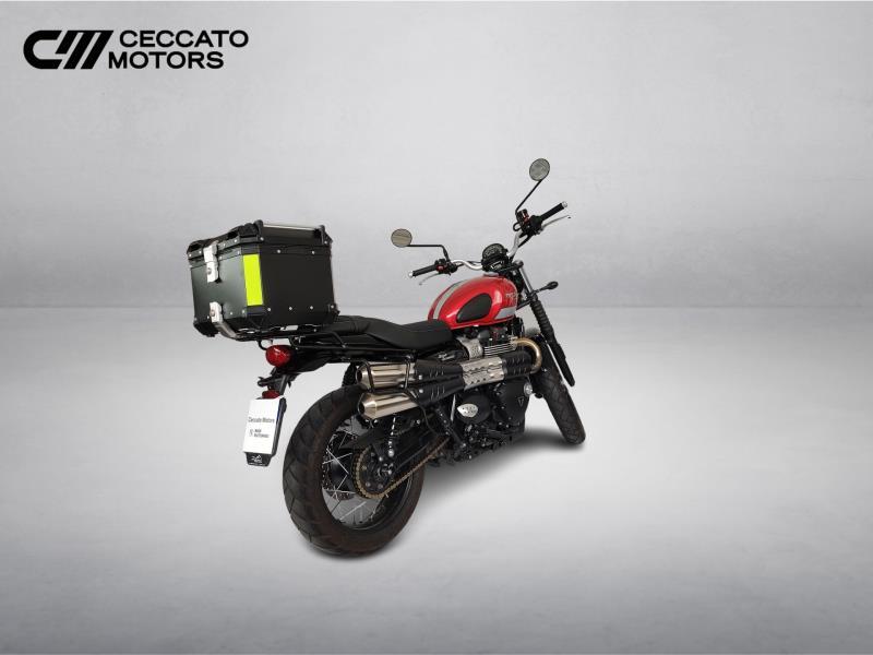 TRIUMPH Street Scrambler 900 