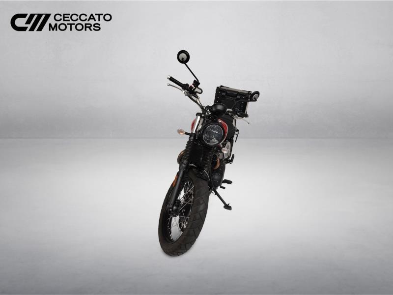 TRIUMPH Street Scrambler 900 