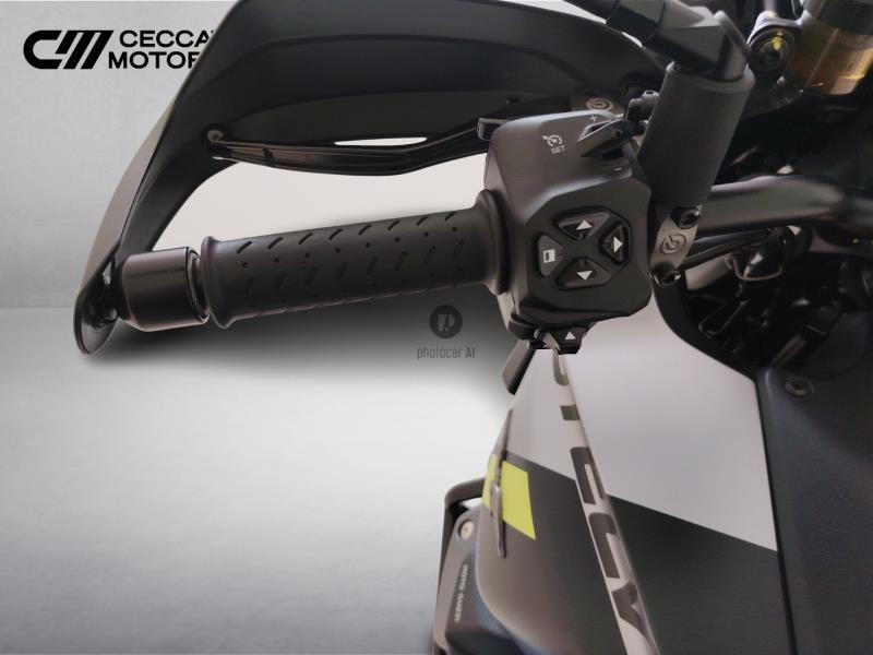 MOTO GUZZI Stelvio 1042 PFF Rider Assistance Solution Abs