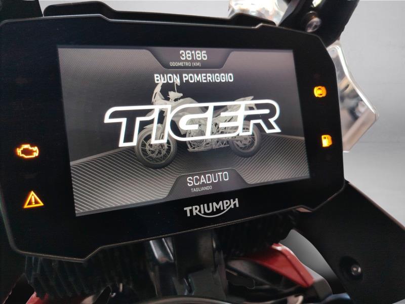 TRIUMPH Tiger 900 GT Pro Abs