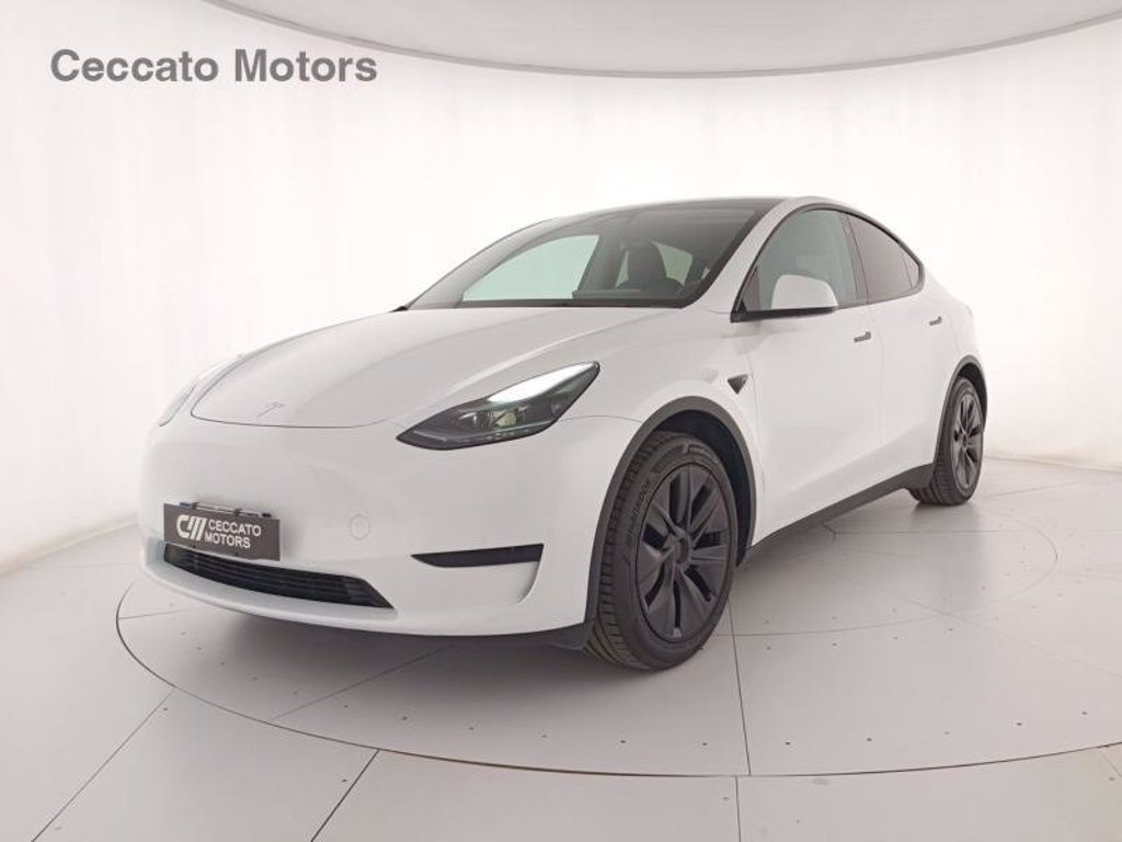 TESLA Model y single motor rwd