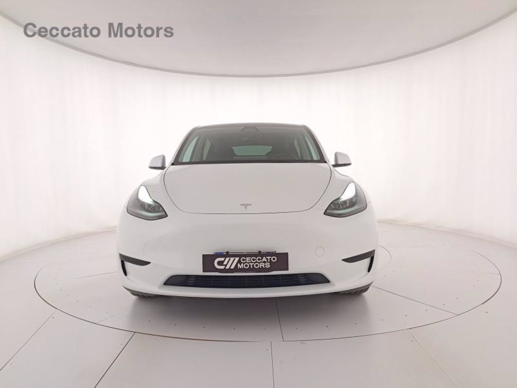 TESLA Model y single motor rwd
