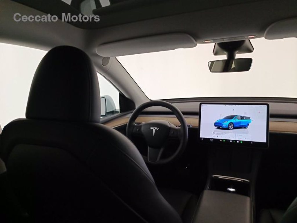 TESLA Model y single motor rwd